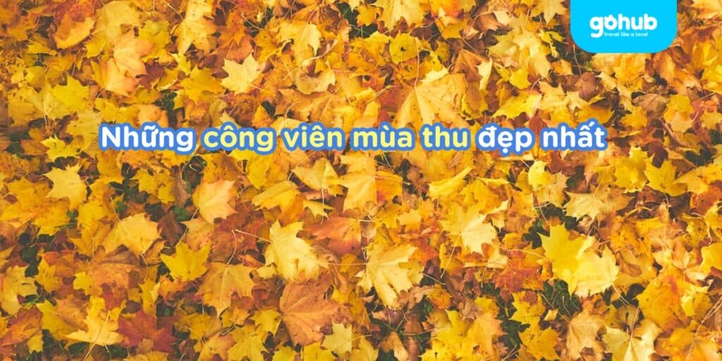 Top Công viên mùa thu đẹp nhất thế giới 2025